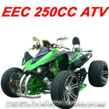 250CC RACING ATV QUAD(MC-388)